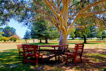 adaminaby