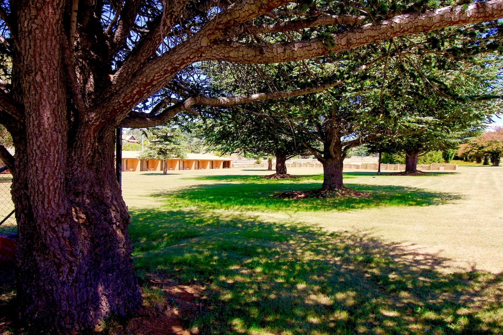 adaminaby