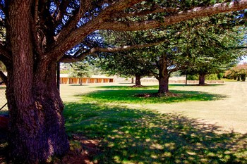 adaminaby