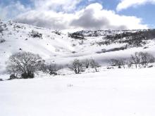 snowy mountains resort and function centre