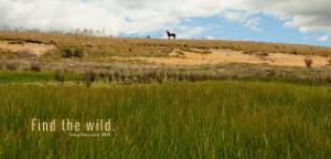 snowy mountains resort and function centre