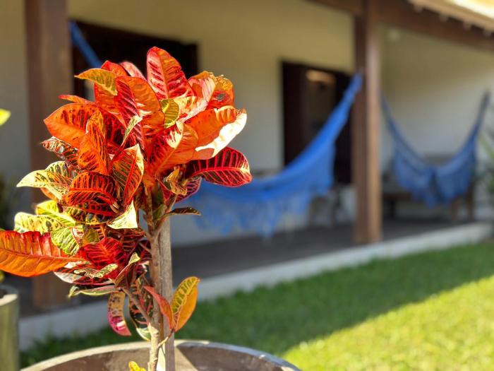 parador casa da praia
