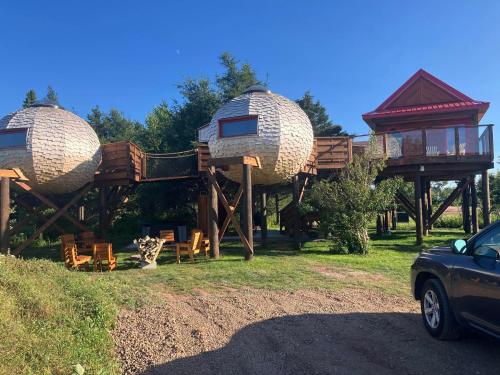 terra experience
