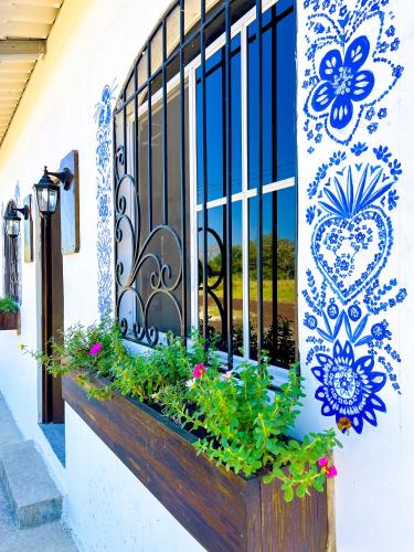 tres cielos cabanas