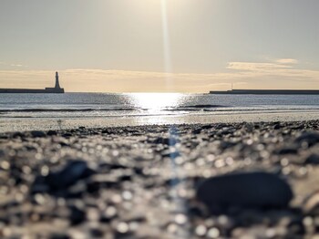 sunderland