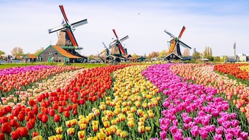 dormio resort medemblik