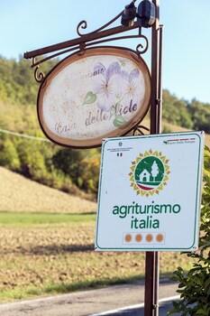 casa delle viole