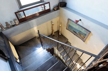 casa delle viole