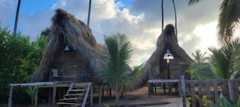 punta cana ecolodge