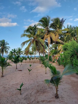 punta cana ecolodge