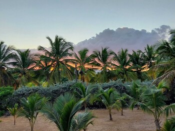 punta cana ecolodge