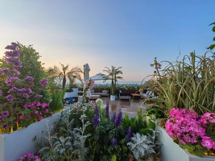the purple horse hotel
