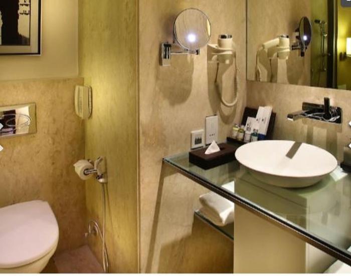 park plaza delhi cbd shahdara