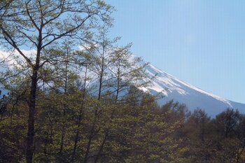 sinoyado niji hostel
