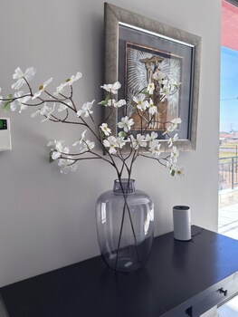 escapade lux guesthouse