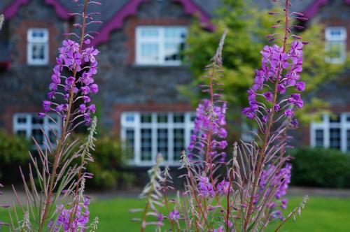 rossclare lodge