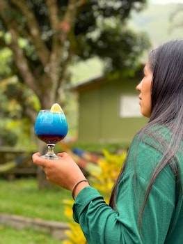 www ecoterralodge com