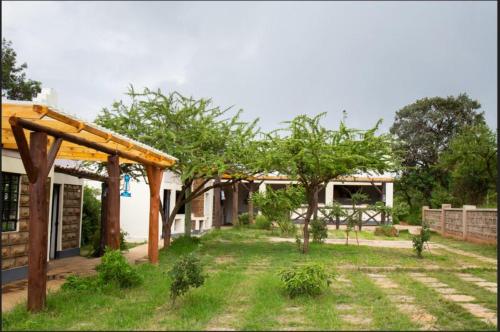 saba house and lodges