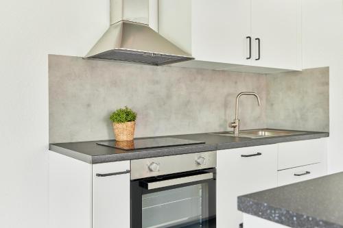ela apartments mannheim