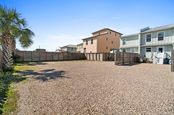 beach house turtle tracks by phg