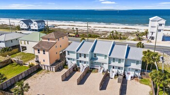 beach house turtle tracks by phg