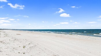 beach house turtle tracks by phg