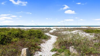 beach house turtle tracks by phg