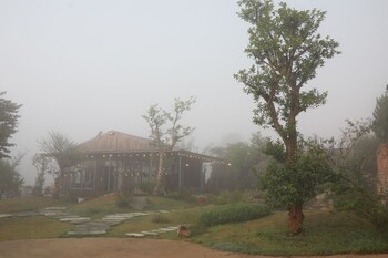mountain nest villa dalat bbq camping