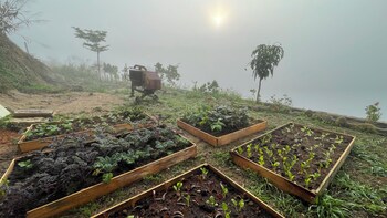 mountain nest villa dalat bbq camping