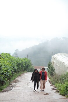 mountain nest villa dalat bbq camping