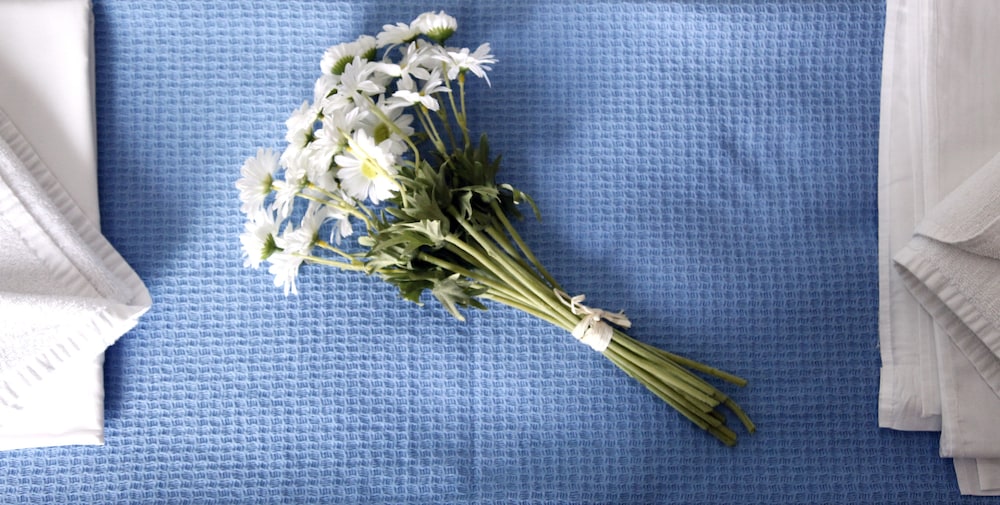 nea propontida