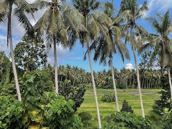 ubud