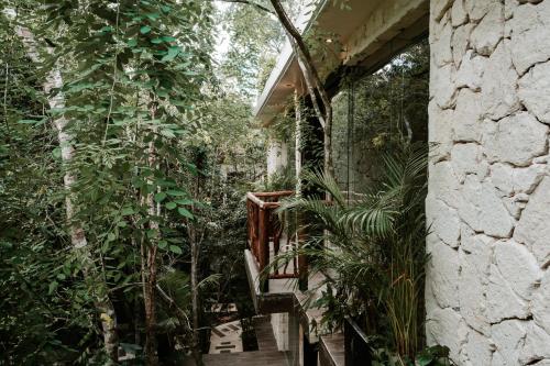 tulum jungle villa agua