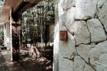 tulum jungle villa tierra