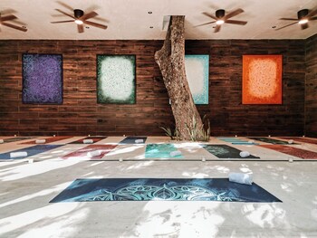 Tulum Jungle Villa Tierra,,3 star
