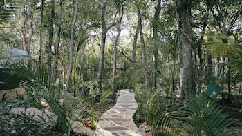 tulum jungle villa tierra