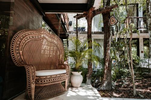 tulum jungle villa tierra