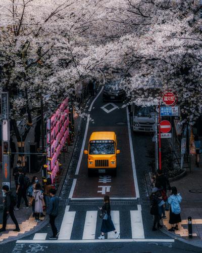 tokyo