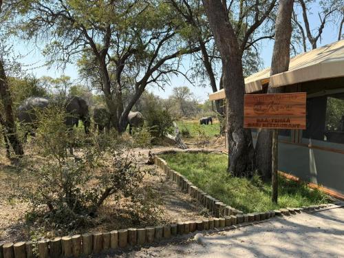 khwai mokoro safaris and campsites