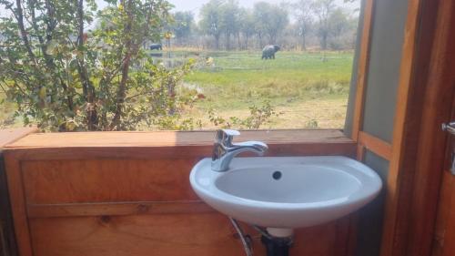 khwai mokoro safaris and campsites