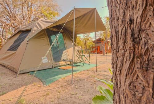 khwai mokoro safaris and campsites