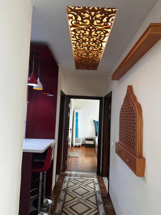 luxurious gurugram apartment for rent entire house with city garden views
