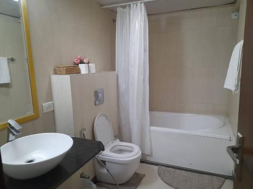 luxurious gurugram apartment for rent entire house with city garden views