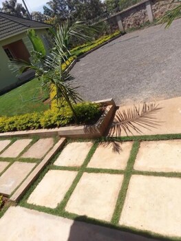 siaya