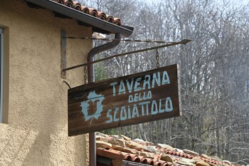 lodge dello scoiattolo