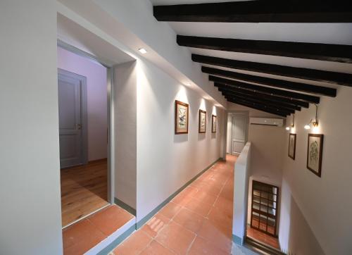 lodge dello scoiattolo