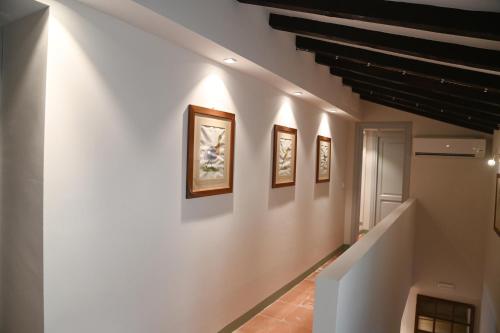 lodge dello scoiattolo