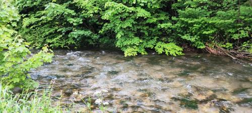 gasthof zur post