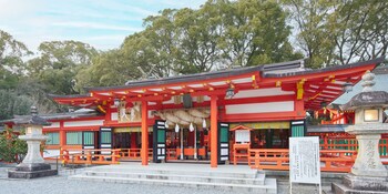 marketstay shingu