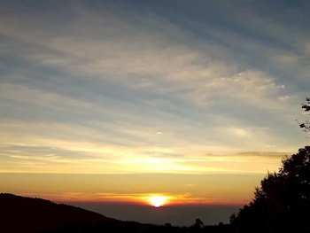doymoktawanview